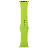 Ремешок - ApW Sport Band Apple Watch 42/44/45/49 mm силикон на кнопке (L) (green)