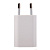 Адаптер Сетевой ORG MD813ZM/A USB 1A/5W (Класс A) (white)