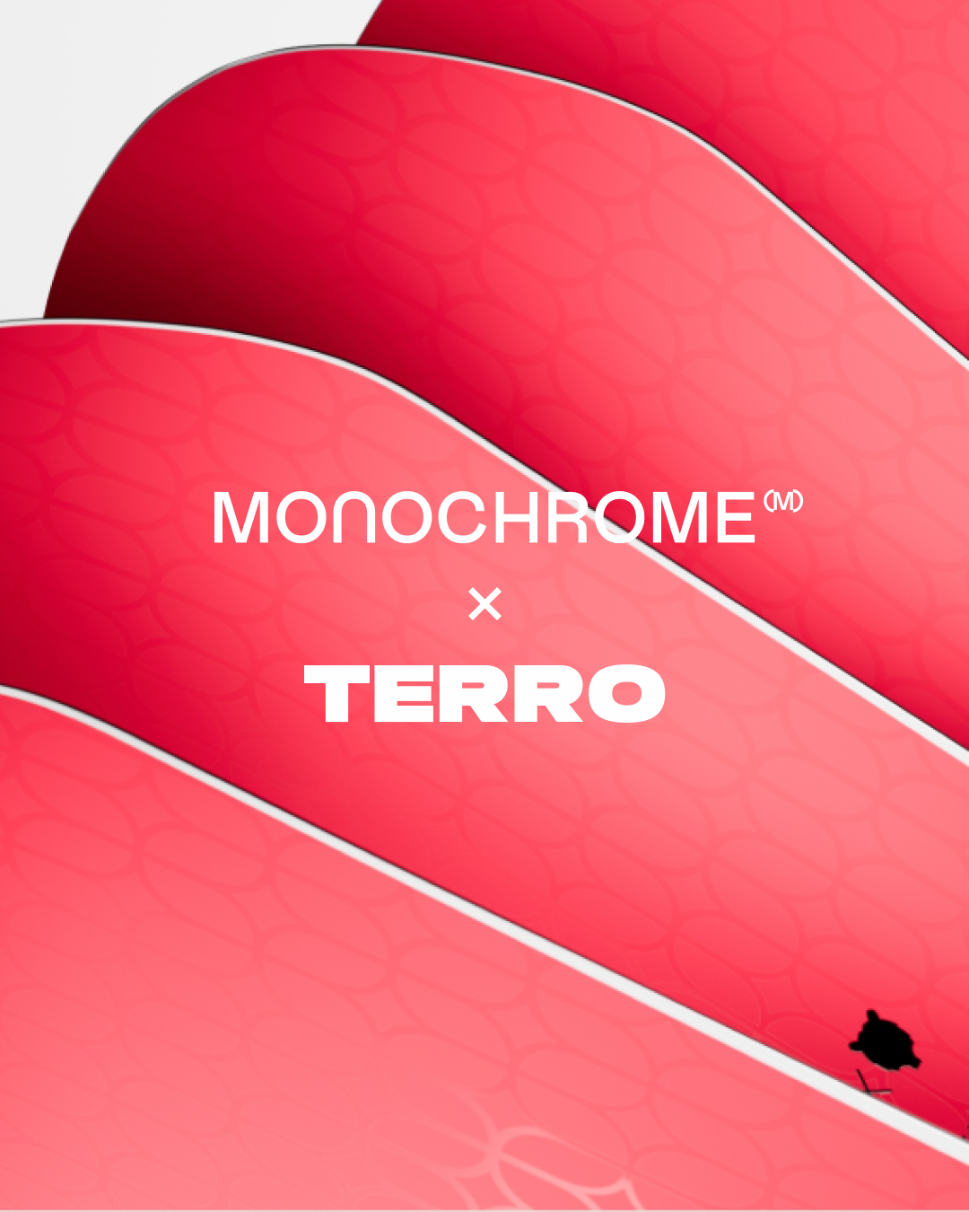 TERRO × MONOCHROME: доска вне сезона