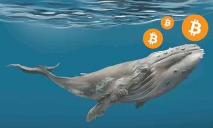 Биткоин-киты увеличили накопления на $ 11 млрд. за последний месяц