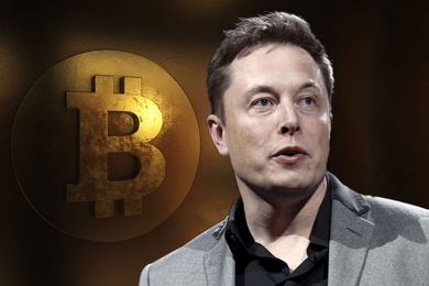 Злоумышленнкам удалось получить 16 BTC прекрываясь Илоном Маском