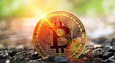 Малые инвесторы продолжают докупать биткоин при цене ниже $9000