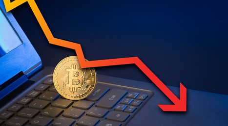 Более 72% опрошенных инвесторов не продадут биткоин даже если он упадёт до нуля