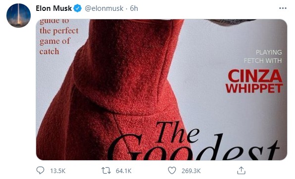 Аудитория Илона Маска поддержала твит о DOGECOIN