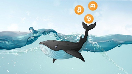 Количество биткоин-холдеров не желающих продавать биткоин продолжает расти