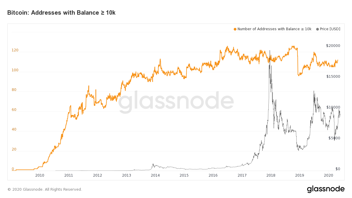 Число адресов китов биткоина с балансом от 1000 BTC до 10000 BTC снизилось