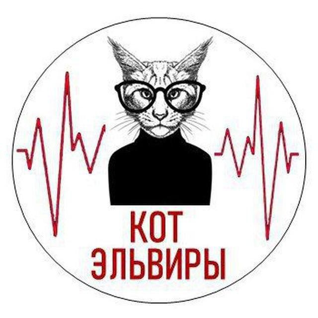 Telegram канал: Кот Эльвиры