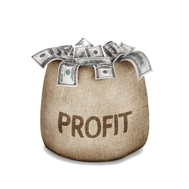 Telegram канал: PROFIT MAFIA