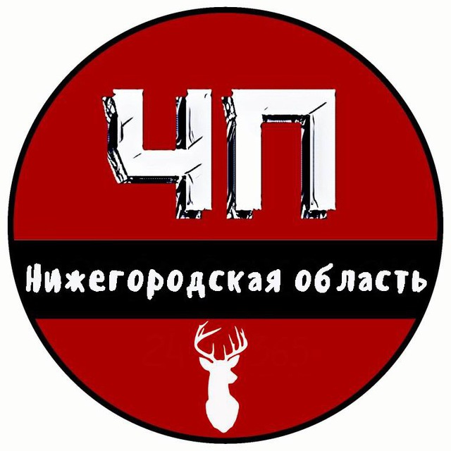 Telegram канал: ЧП Нижний Новгород и Нижегородская область