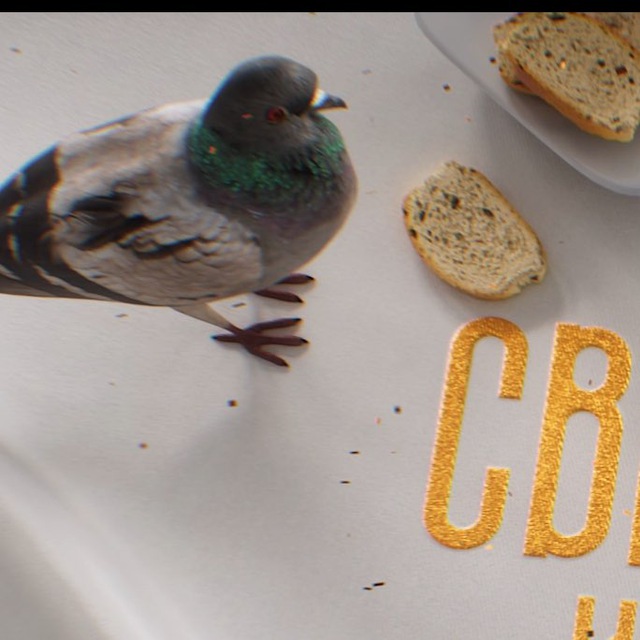 Telegram канал: Светские крошки LIVE