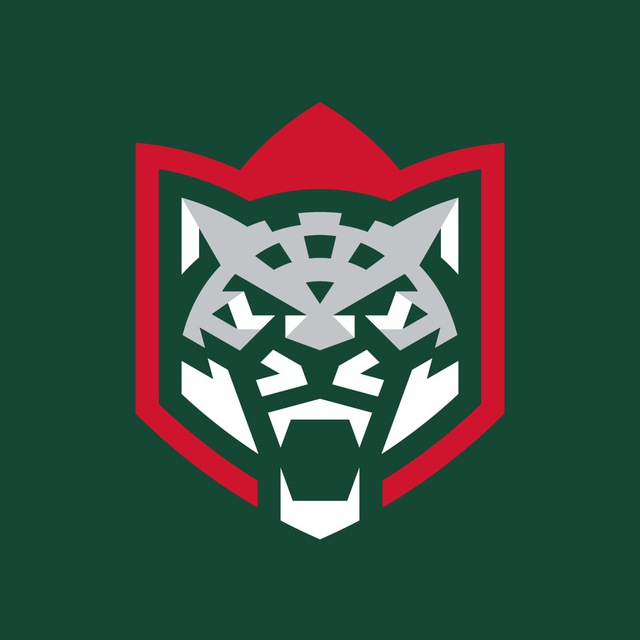 Telegram канал: ХК «Ак Барс»