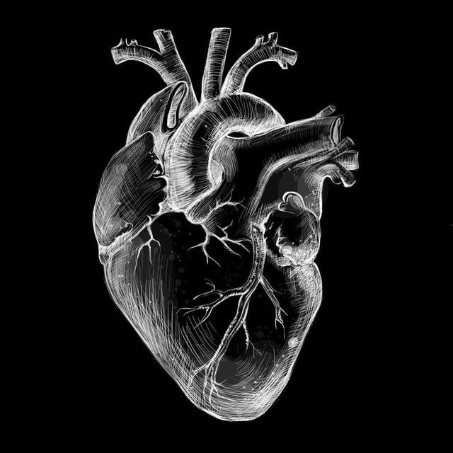 Telegram канал: Голос сердца