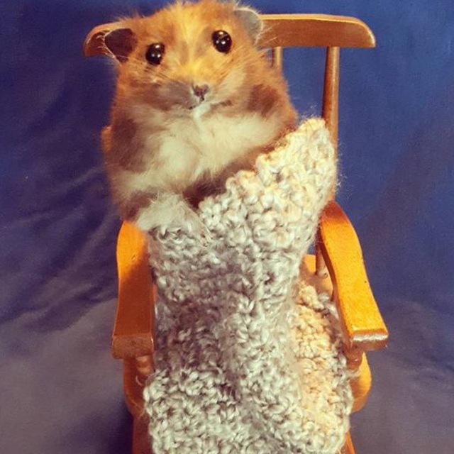 Telegram канал: 🏡 Уютный Трейд