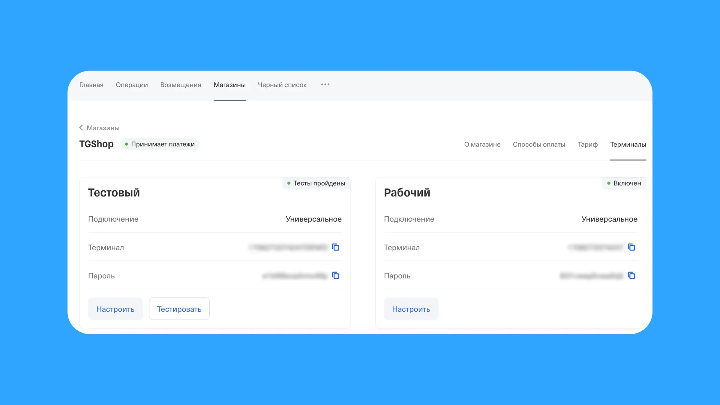 t-kassa-podklyuchenie-oplaty-t-pay-k-magazinu-v-telegram_7.webp