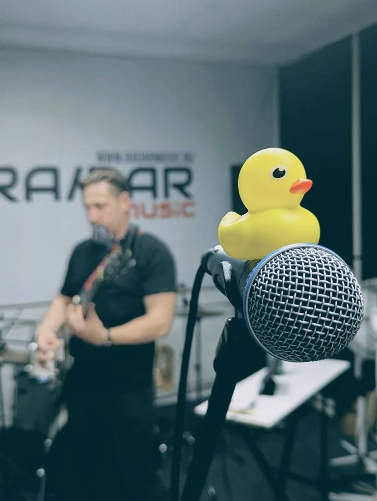 STEEh утка на микрофоне