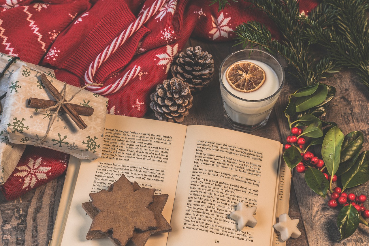 Have a Bookish Christmas!