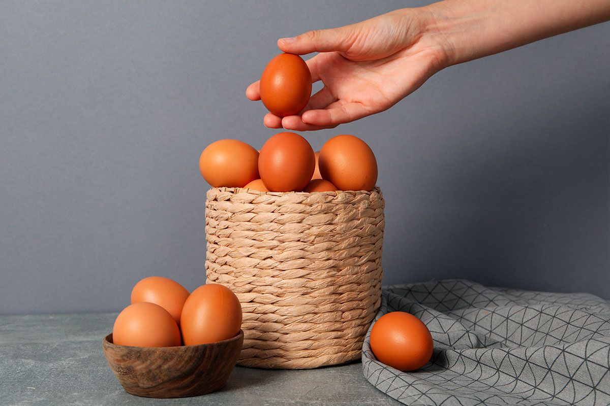 Word story – put all your eggs in one basket