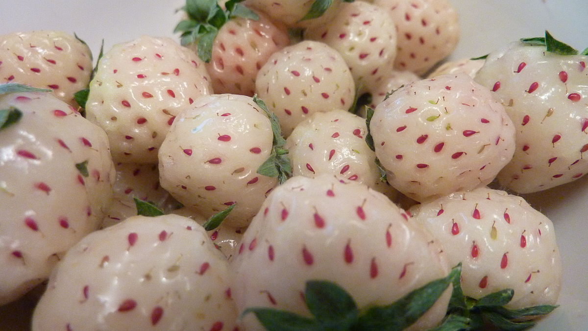 Word story – pineberry