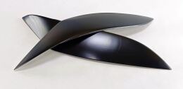 Реснички на фары Toyota Raum Z20 2003-2011