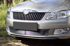 Защитная сетка переднего бампера Skoda Fabia II 2010-2013