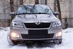 Защитная сетка и заглушка решетки переднего бампера Skoda Fabia II 2010—2013 