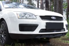 Защитная сетка решетки переднего бампера Ford Focus II 2005-2008