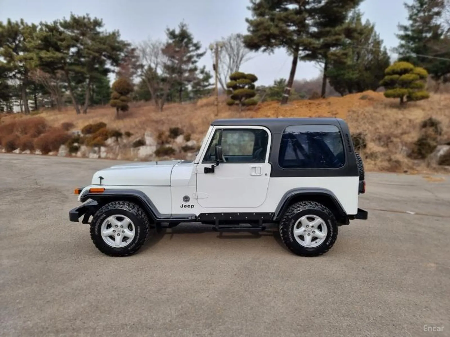 Jeep Wrangler (YJ) превью 6
