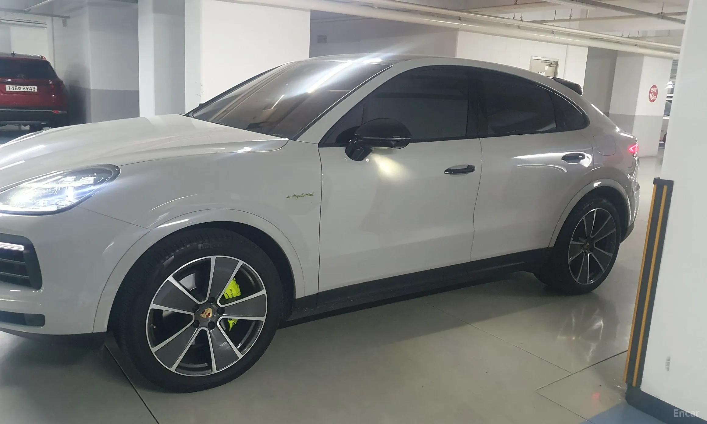 Cayenne (PO536)