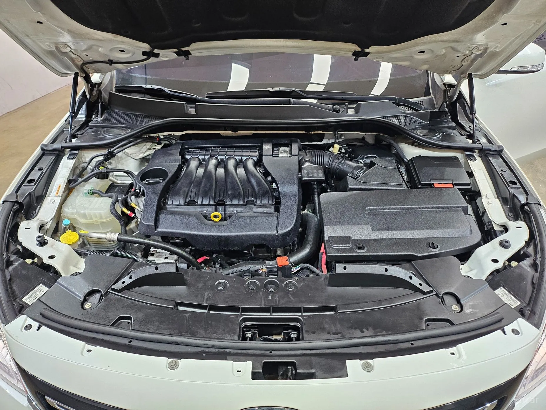 Renault Korea (Samsung) SM7 превью 19