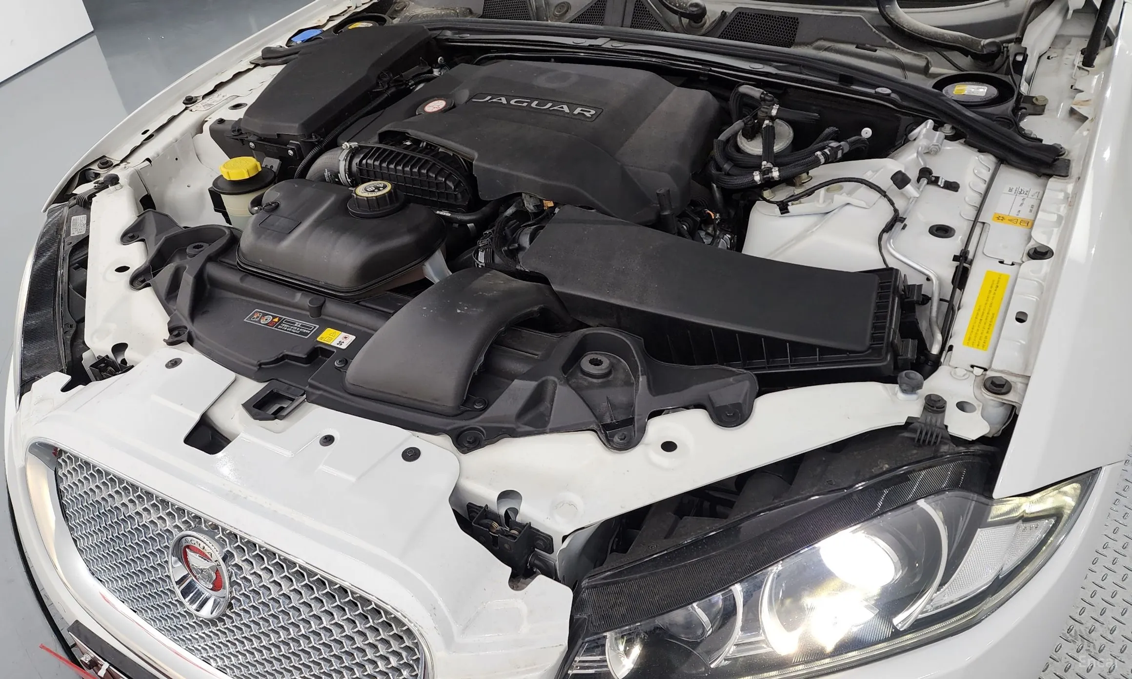 Jaguar New XF превью 6