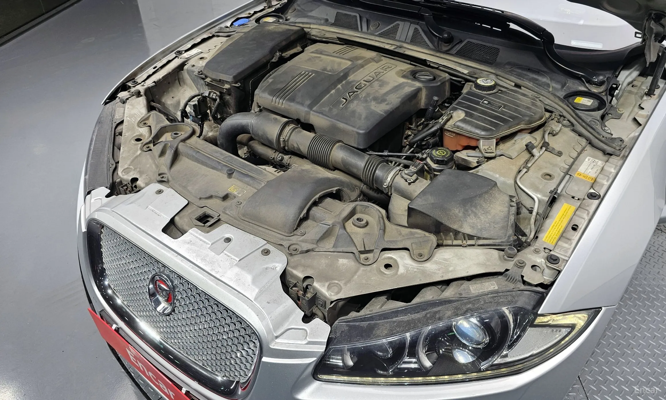 Jaguar New XF превью 6