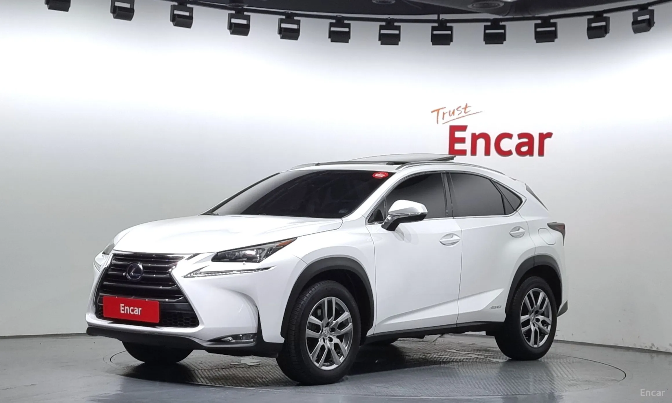 Lexus NX300h