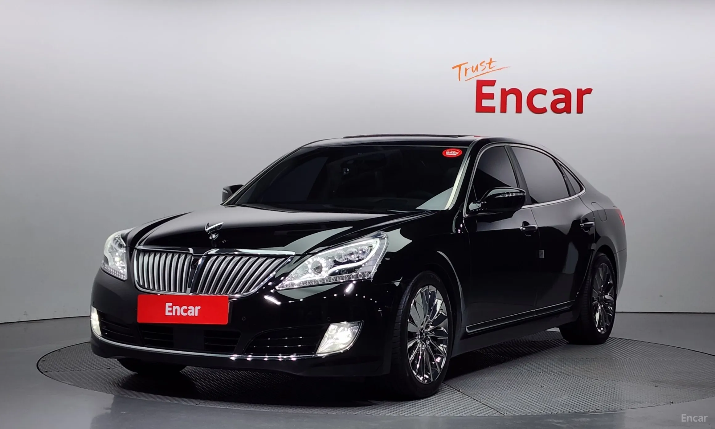 Equus (new)
