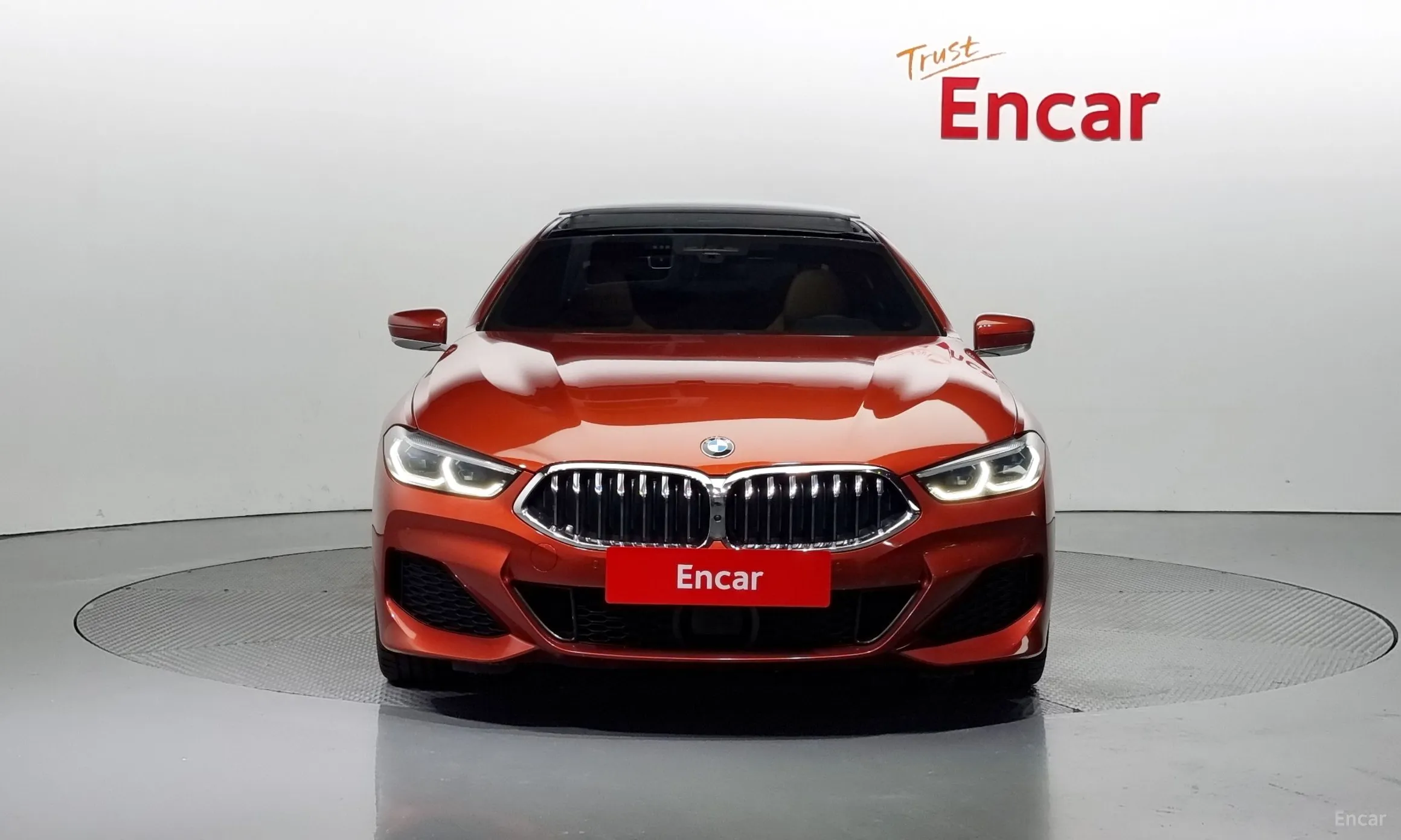 BMW 8-series (G15)