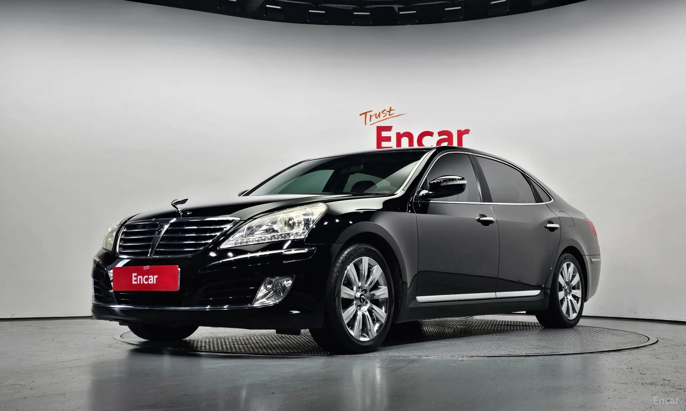 Equus (new)