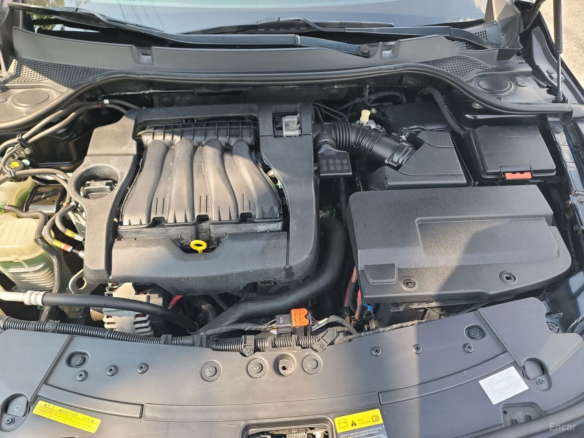 Renault Korea (Samsung) SM7 превью 17