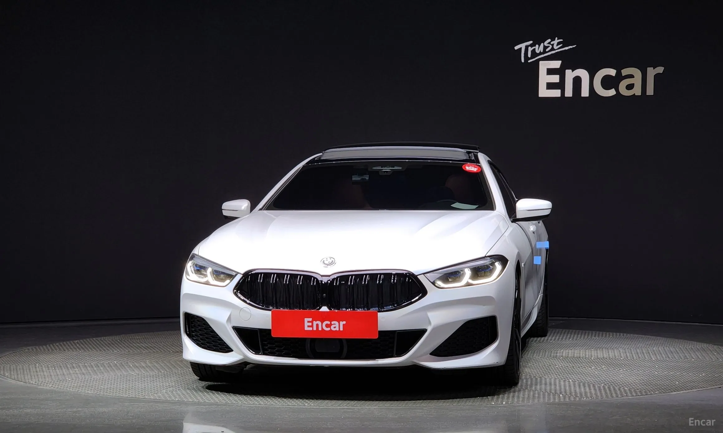 BMW 8-series (G15)
