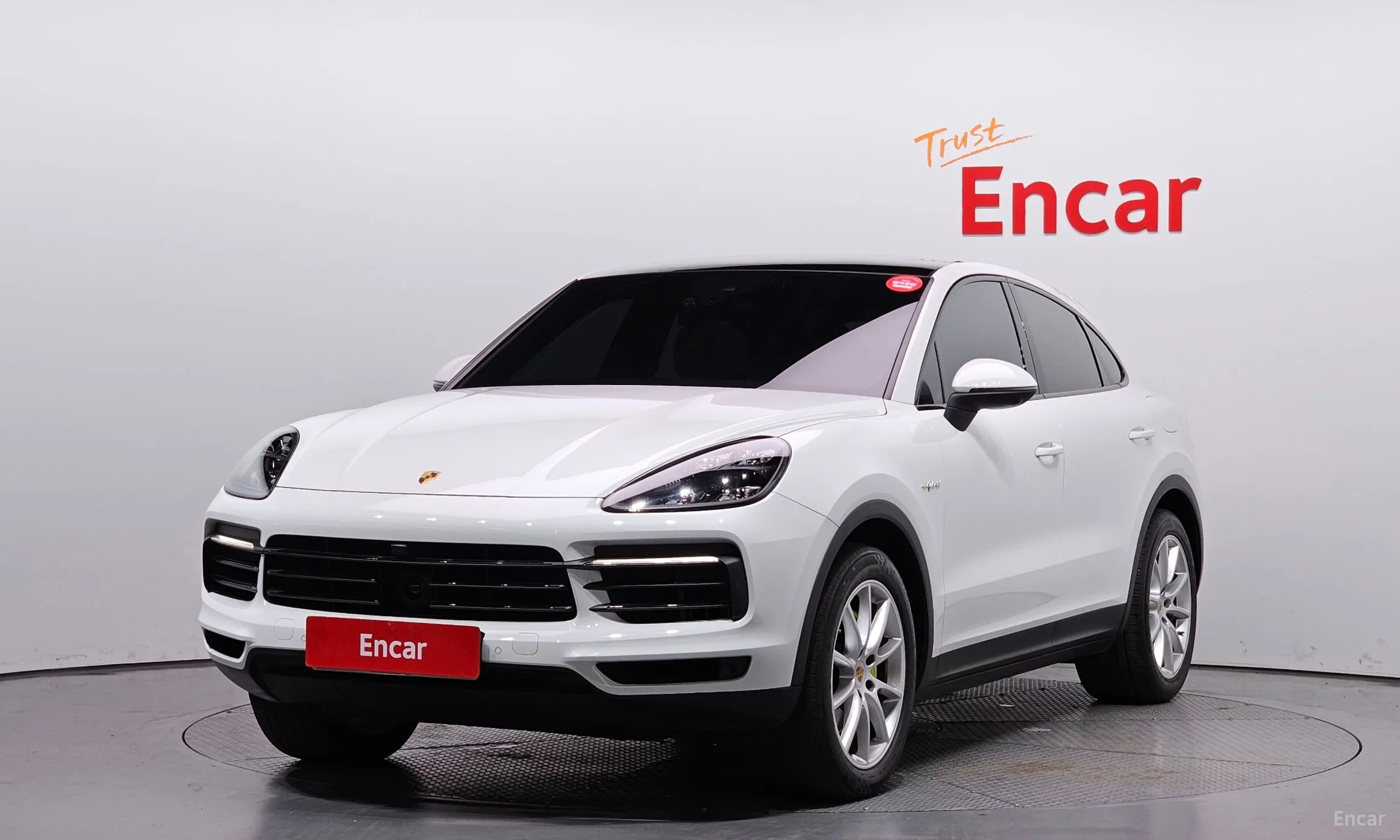 Cayenne (PO536)