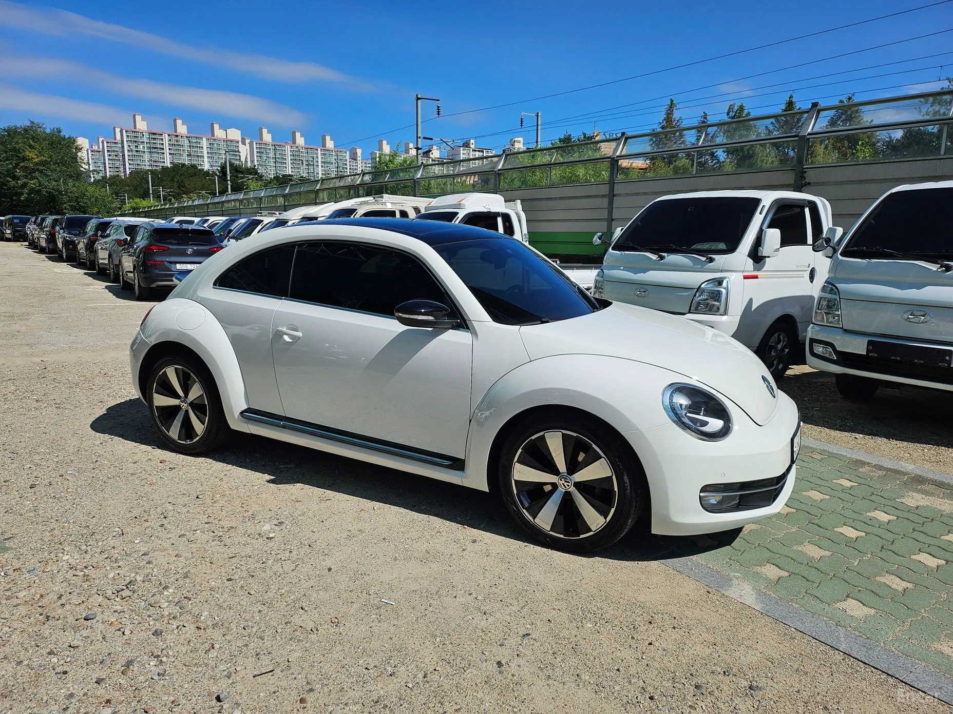 Volkswagen The Beetle