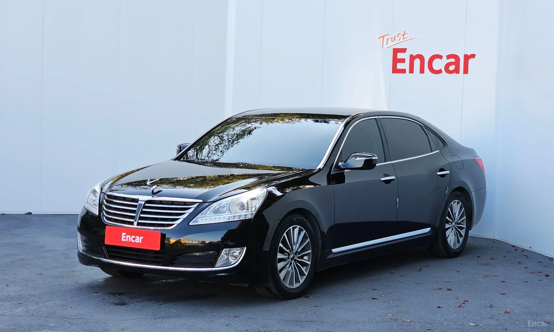 Equus (new)