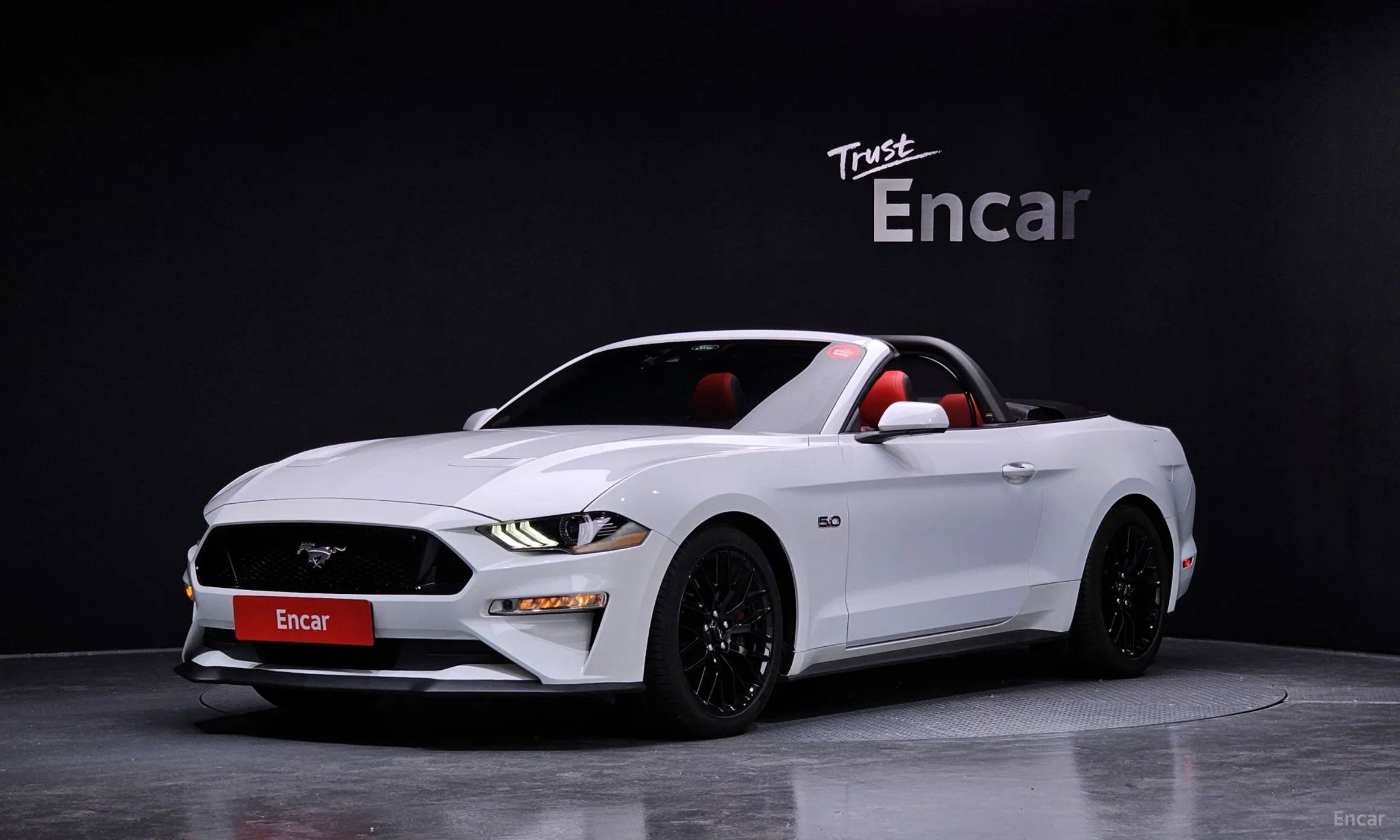 Mustang