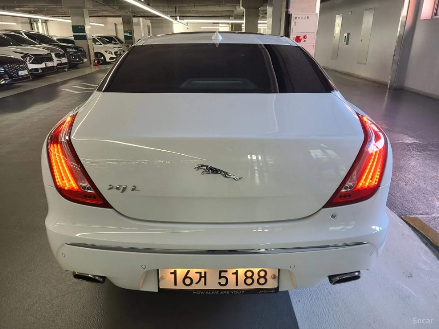 Jaguar All New XJ превью 6