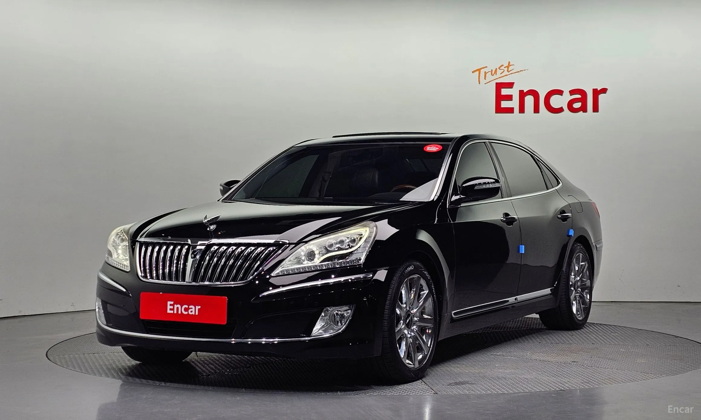 Equus (new)