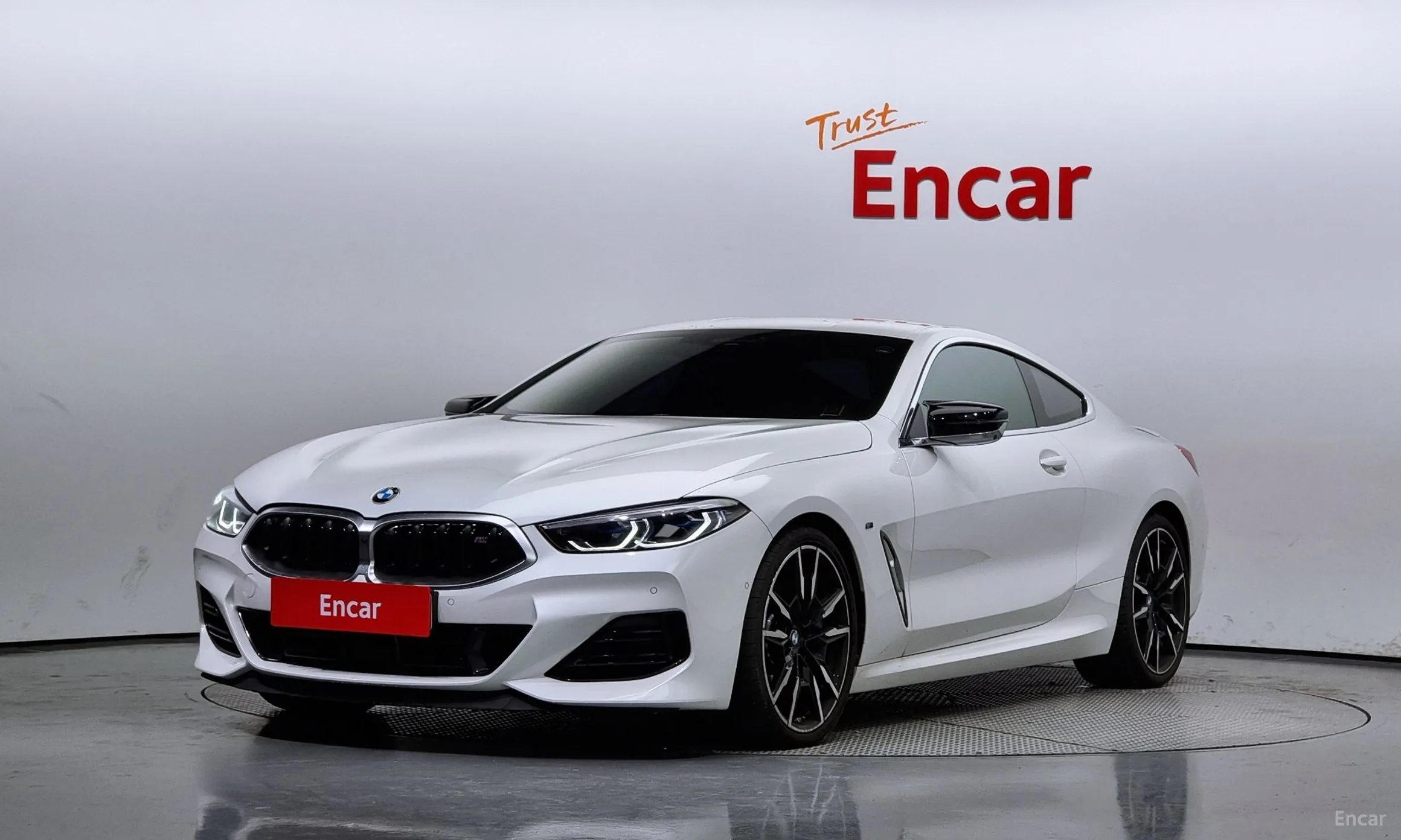 BMW 8-series (G15)