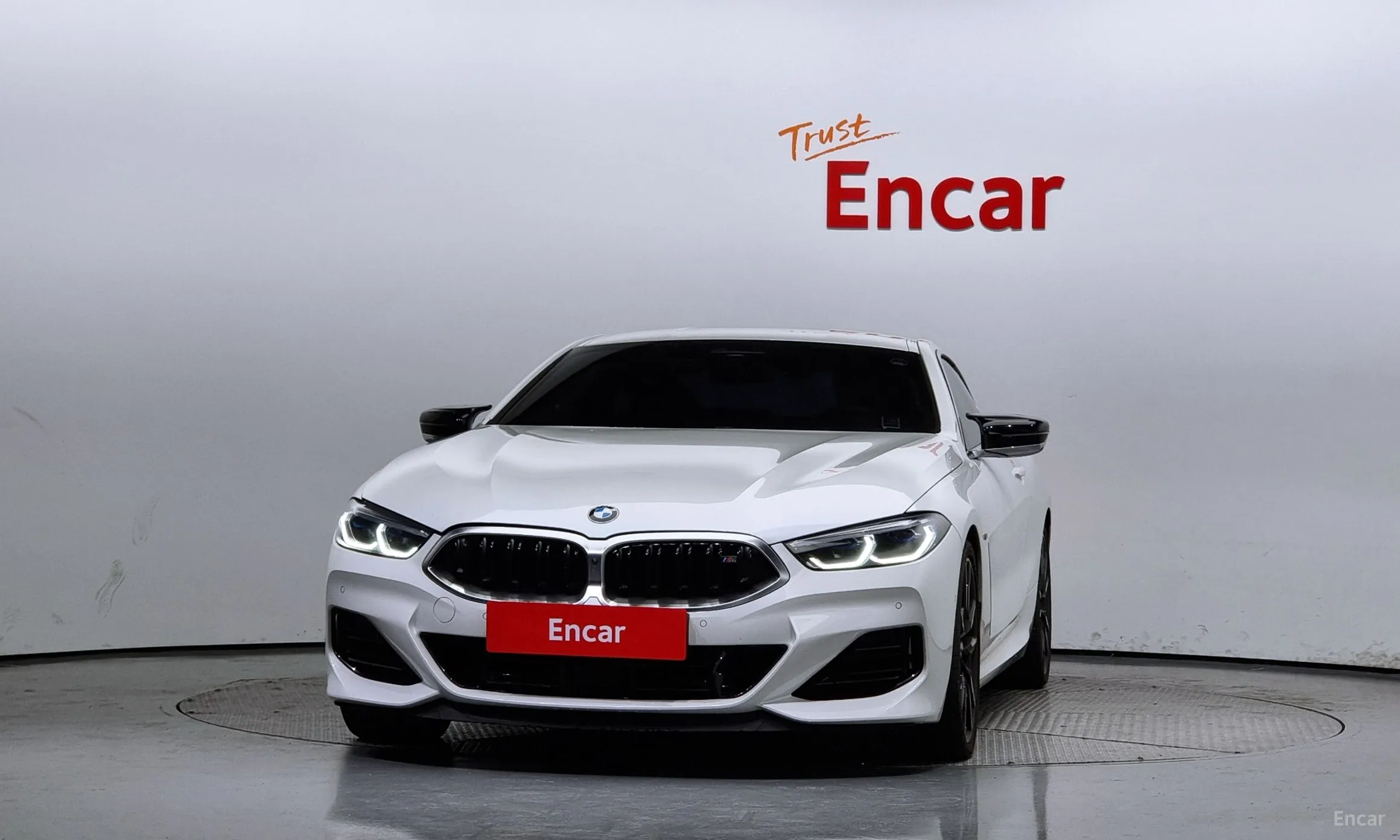 BMW 8-series (G15)