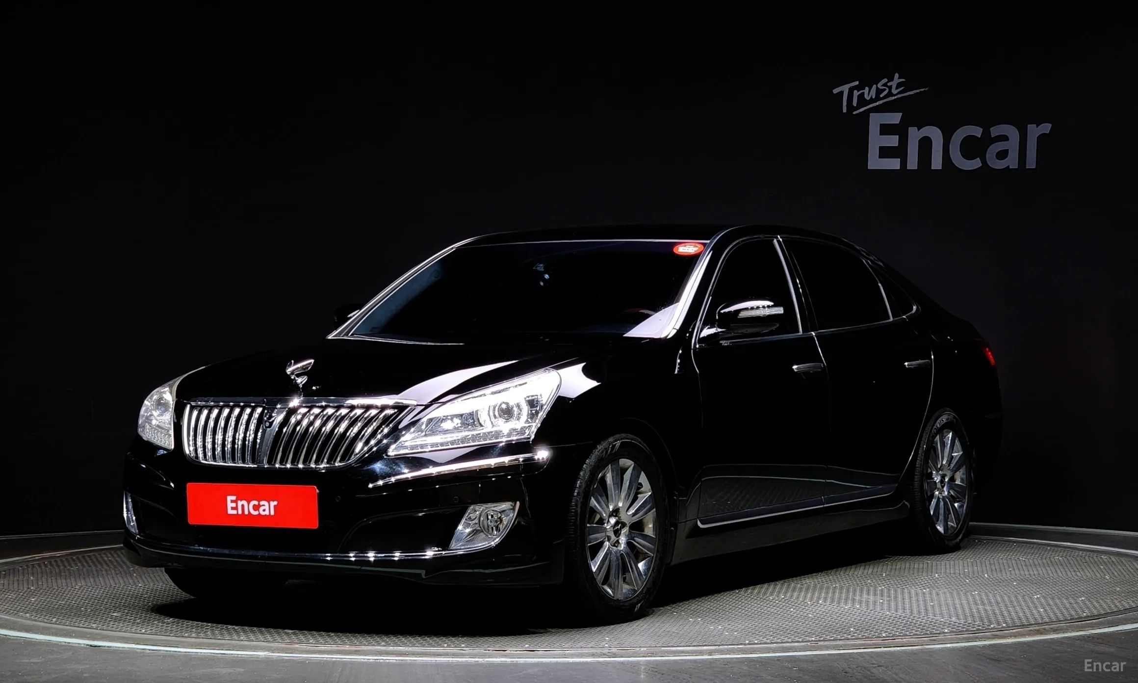 Equus (new)