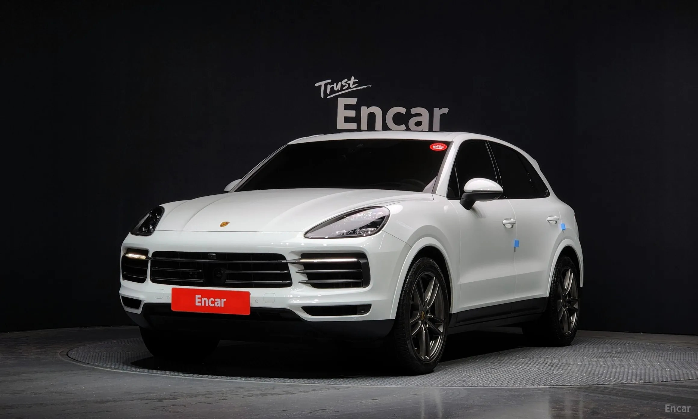 Cayenne (PO536)