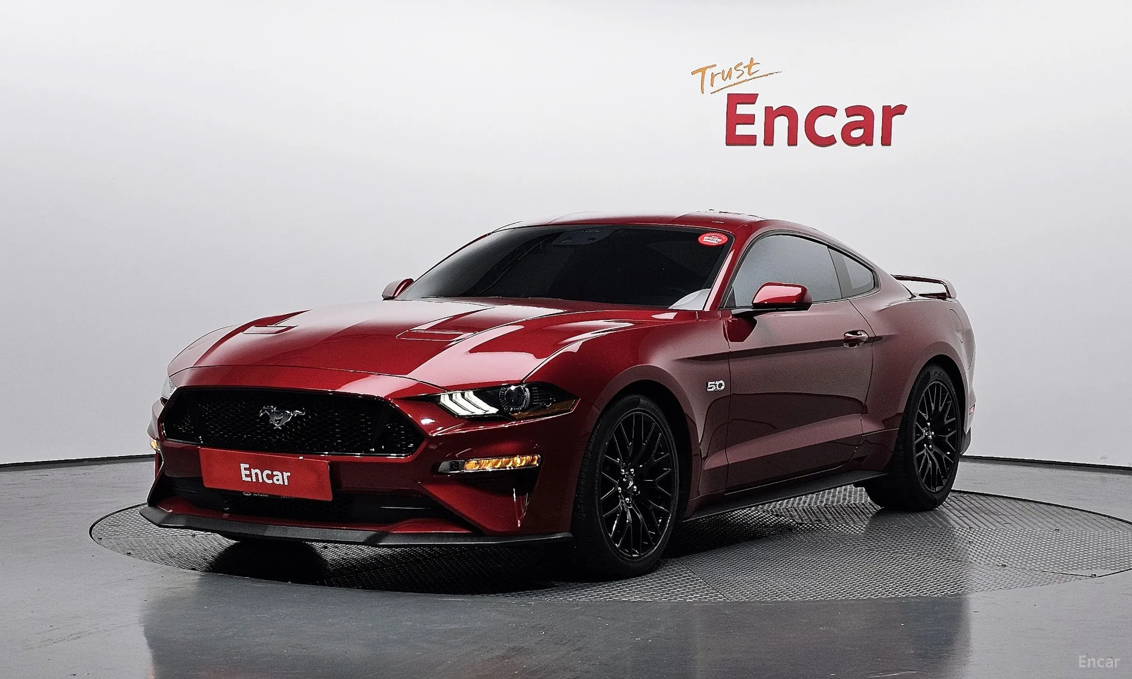 Mustang