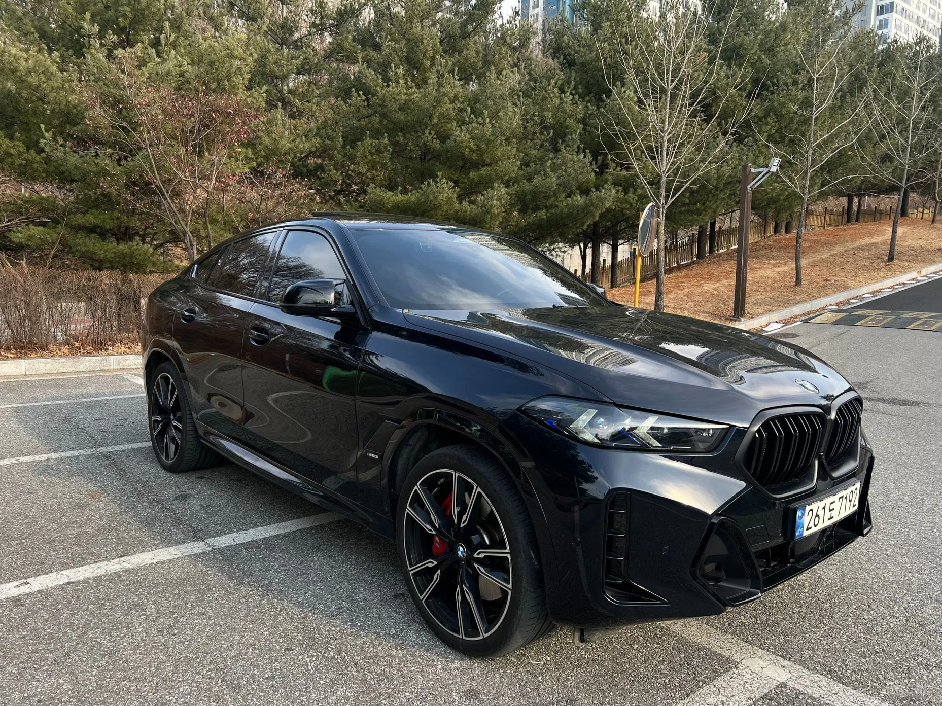 BMW X6 (G06)