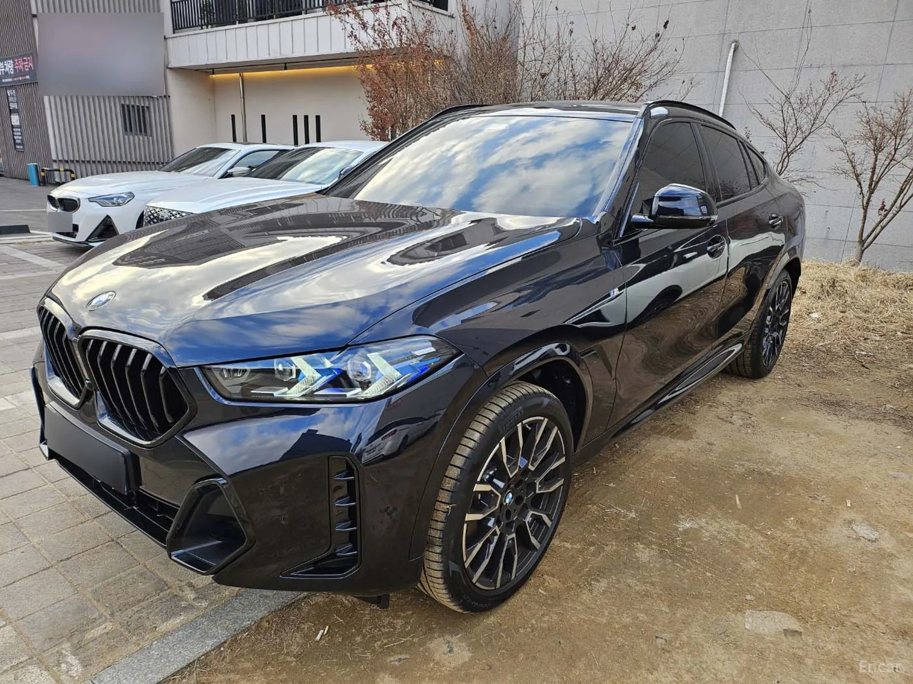 X6 (G06)
